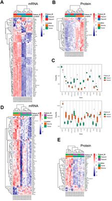 Tumor Microenvironment Profiles Reveal Distinct Therapy-Oriented Proteogenomic Characteristics in Colorectal Cancer